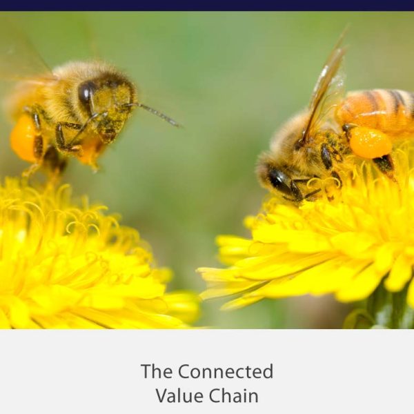 The Connected Value Chain | Value Chain Solutions