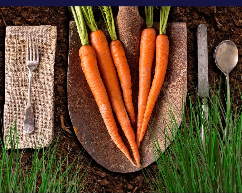Read more about the article Bringing It All Together Using The Virtuous Cycle To Drive Affordable Food Via Sustainable Food Production, Distribution And Consumption