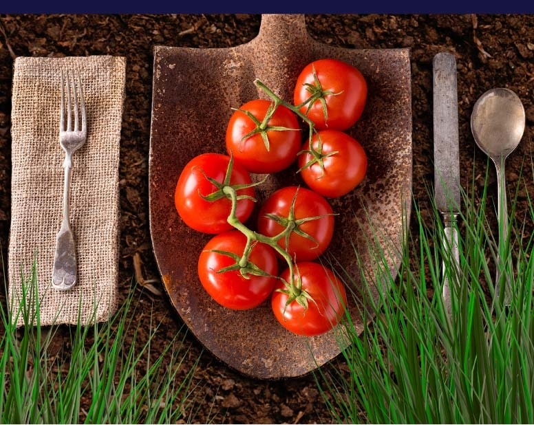 Read more about the article Ensuring A Traceable Value Chain From Farm To Fork