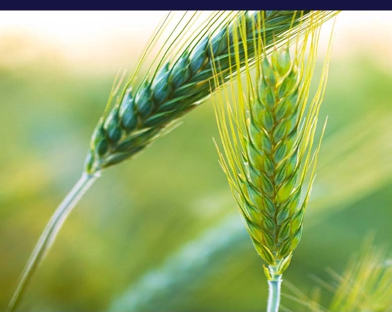 Read more about the article Life During And After COVID-19