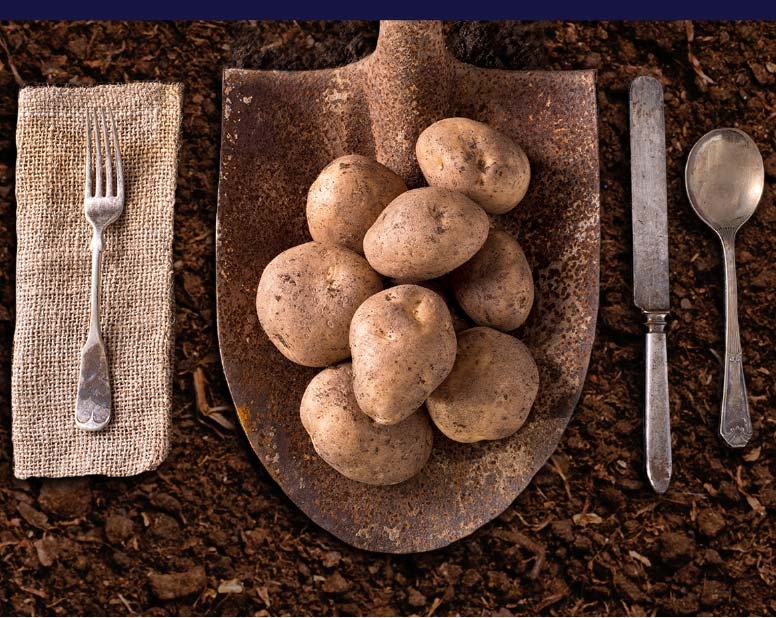 Read more about the article Value Chain Solutions & South Africa’s Food Waste Agreement