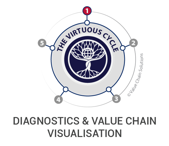 Diagnostics and value chain visualisation.
