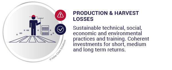 Production and harvest losses.